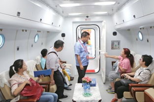 高科技引领未来——贵州绿色博览会与大健康医药产业博览会的医疗器械新风潮