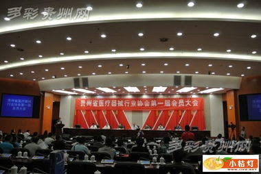 贵州省医疗器械行业协会正式成立，擘画产业发展新蓝图